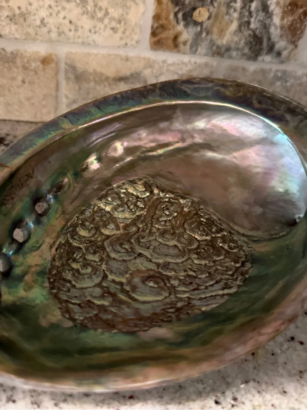 Large Iridescent Abalone Shell Bowl